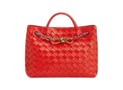 Bottega Veneta Small Andiamo "Cherry/Tomato"