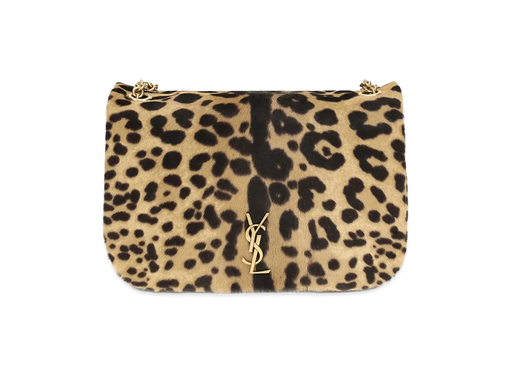 Saint Laurent Women's Bag "Brown"