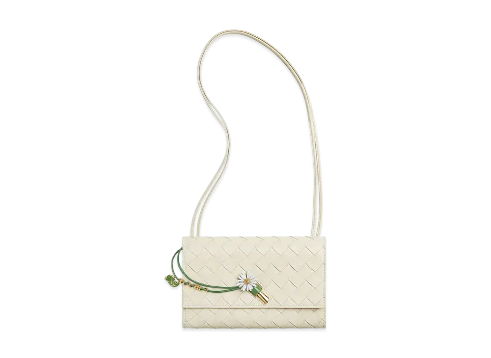 Bottega Veneta Andiamo Daisy Pouch "Sea Salt"