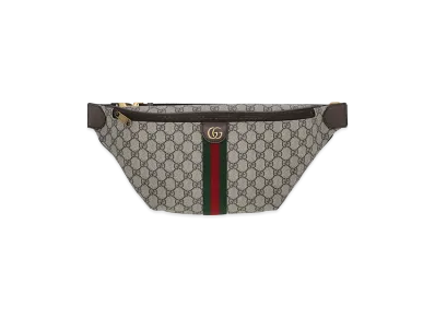 GUCCI Printed Canvas Belt Bag "Printed"