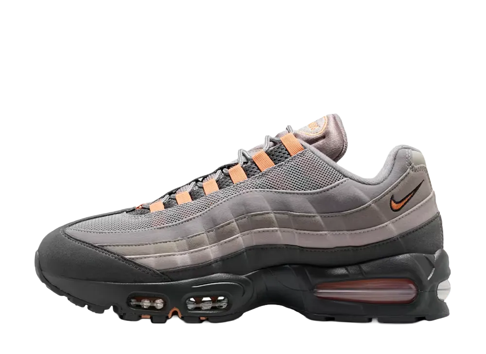 Nike Air Max 95 Big Bubble OG "Hot Curry"