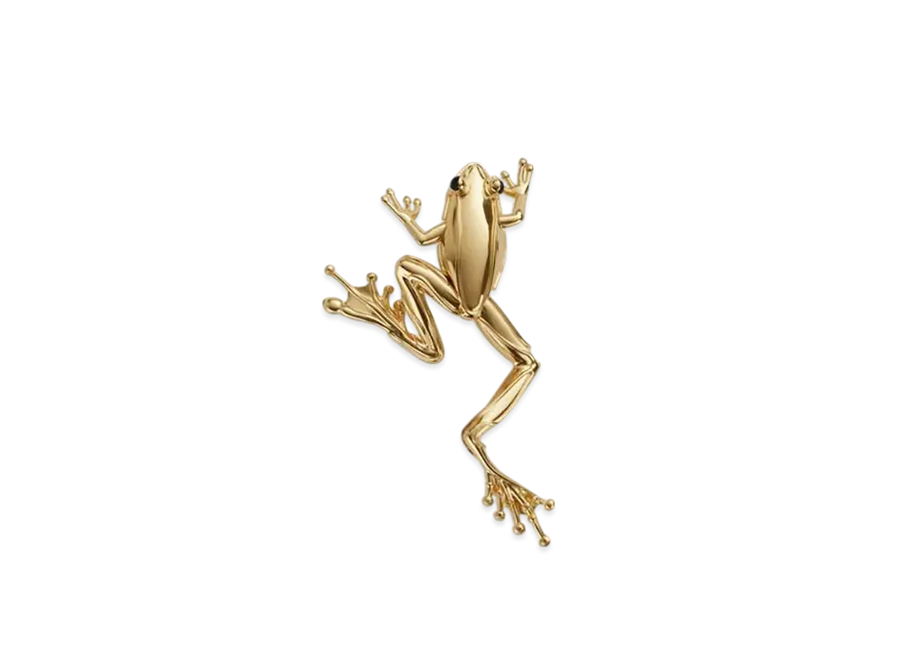 Bottega Veneta Rana Large Brooch "Yellow Gold"