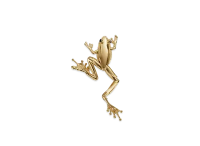 Bottega Veneta Rana Large Brooch "Yellow Gold"