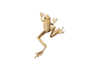 Bottega Veneta Rana Small Brooch "Yellow Gold"