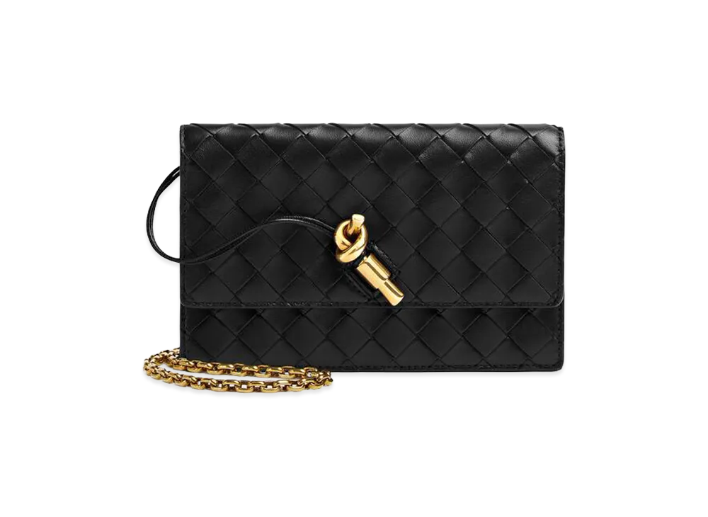 Bottega Veneta Andiamo Chain Pouch "Black"