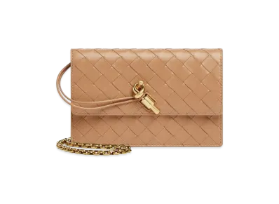 Bottega Veneta Andiamo Chain Pouch "Pale Brown"