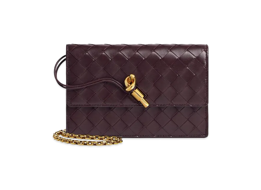 Bottega Veneta Andiamo Chain Pouch "Dark Barolo"