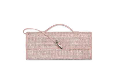Bottega Veneta Andiamo Clutch Bag "Rose"