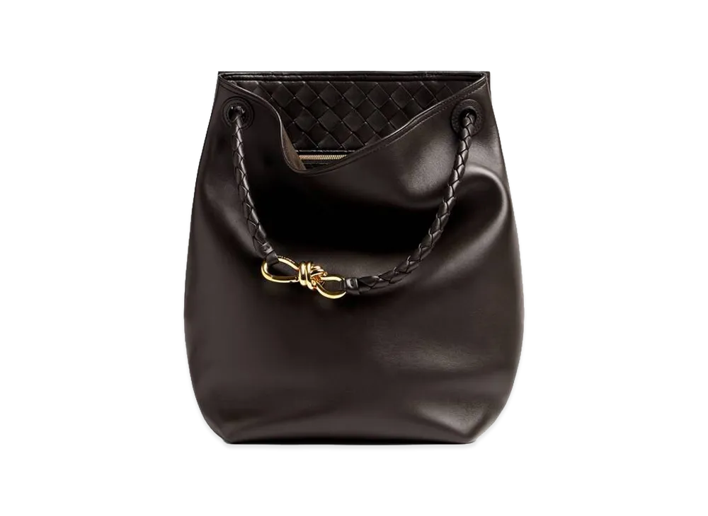 Bottega Veneta Andiamo Bucket "Fondente"