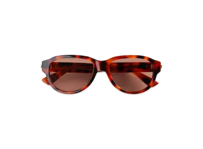Bottega Veneta Classic Pilot Sunglasses "Havana/Red"