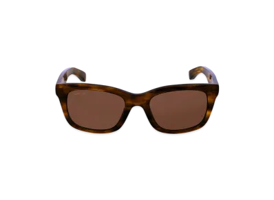 BALENCIAGA Soho Square XL Sunglasses "Chocolate Brown"