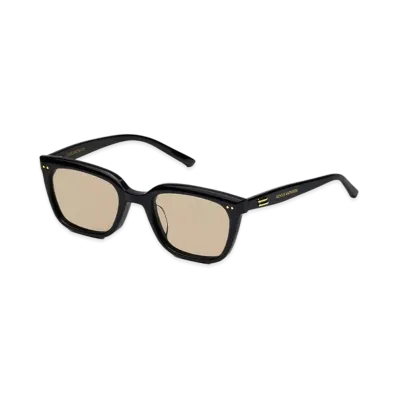Gentle Monster Breezebe 01BR "Black/Brown"
