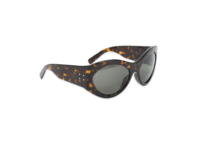 Saint Laurent Women's Sunglasses "Brown"