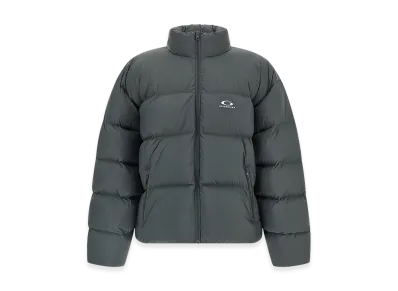 BALENCIAGA 'Standard' Down Jacket "Gray"