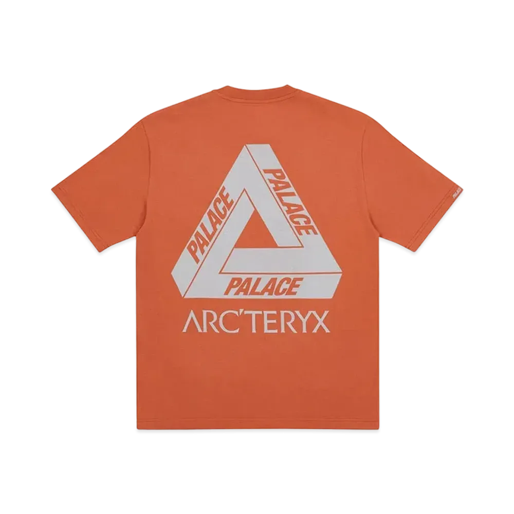 PALACE / Arc'Teryx Alpha T-Shirt "Ochre" P19ARXTS005
