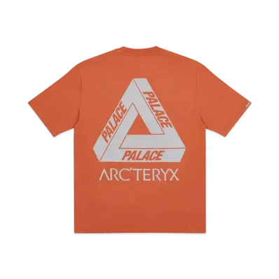 PALACE / Arc'Teryx Alpha T-Shirt "Ochre" P19ARXTS005