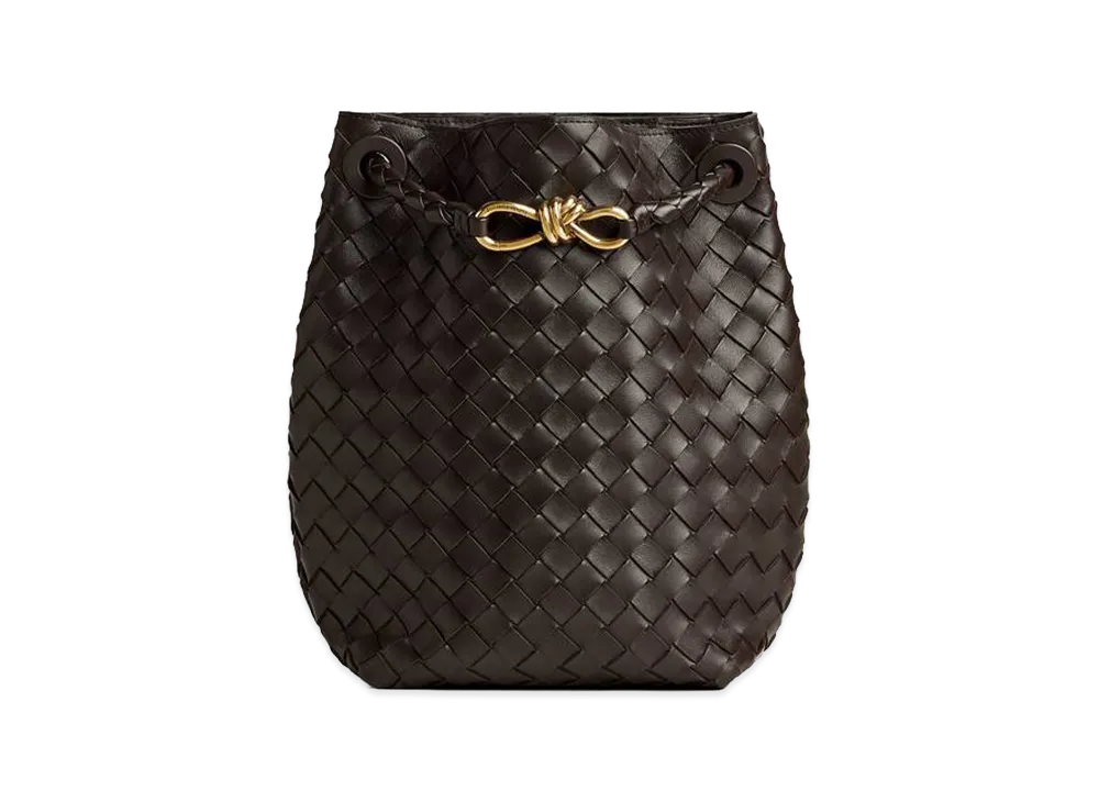 Bottega Veneta Small Andiamo Bucket "Fondente"