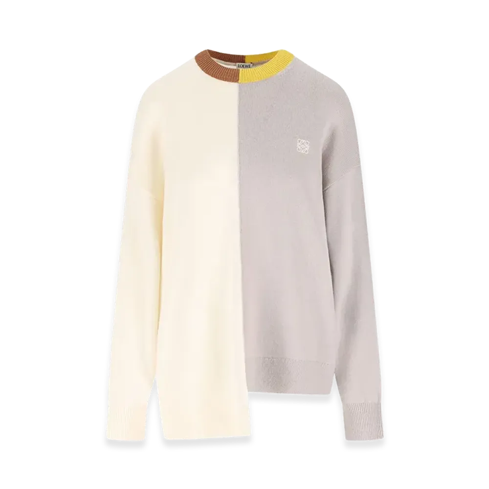 LOEWE Women's Sweaters "Multicolour"