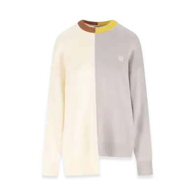 LOEWE Women's Sweaters "Multicolour"