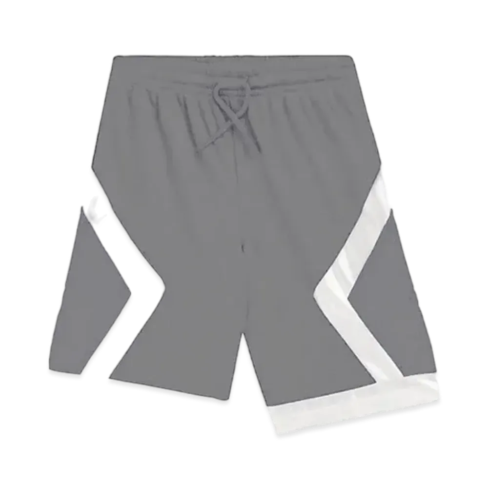 Dior x Air Jordan Basketball Shorts "Gray"