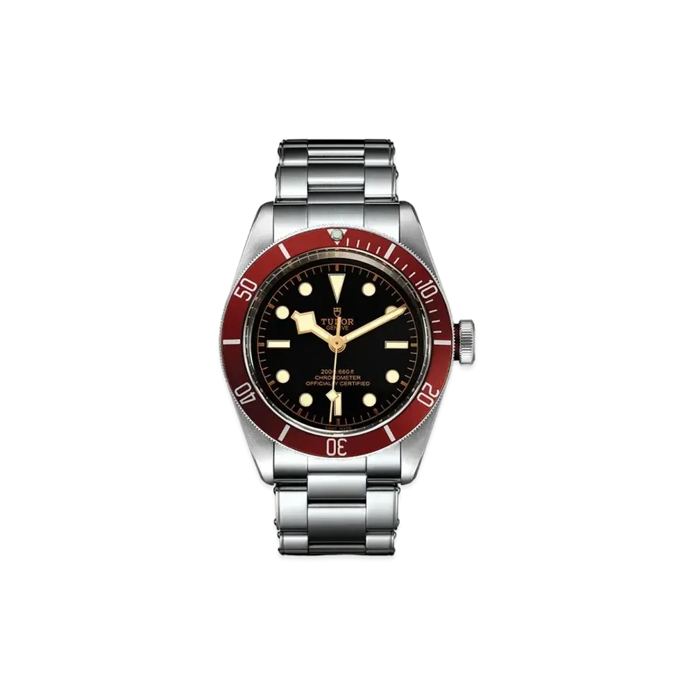 TUDOR BLACK BAY