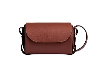 Chloe Darryl Mini Bag In Grained & Smooth Calfskin "Brown"