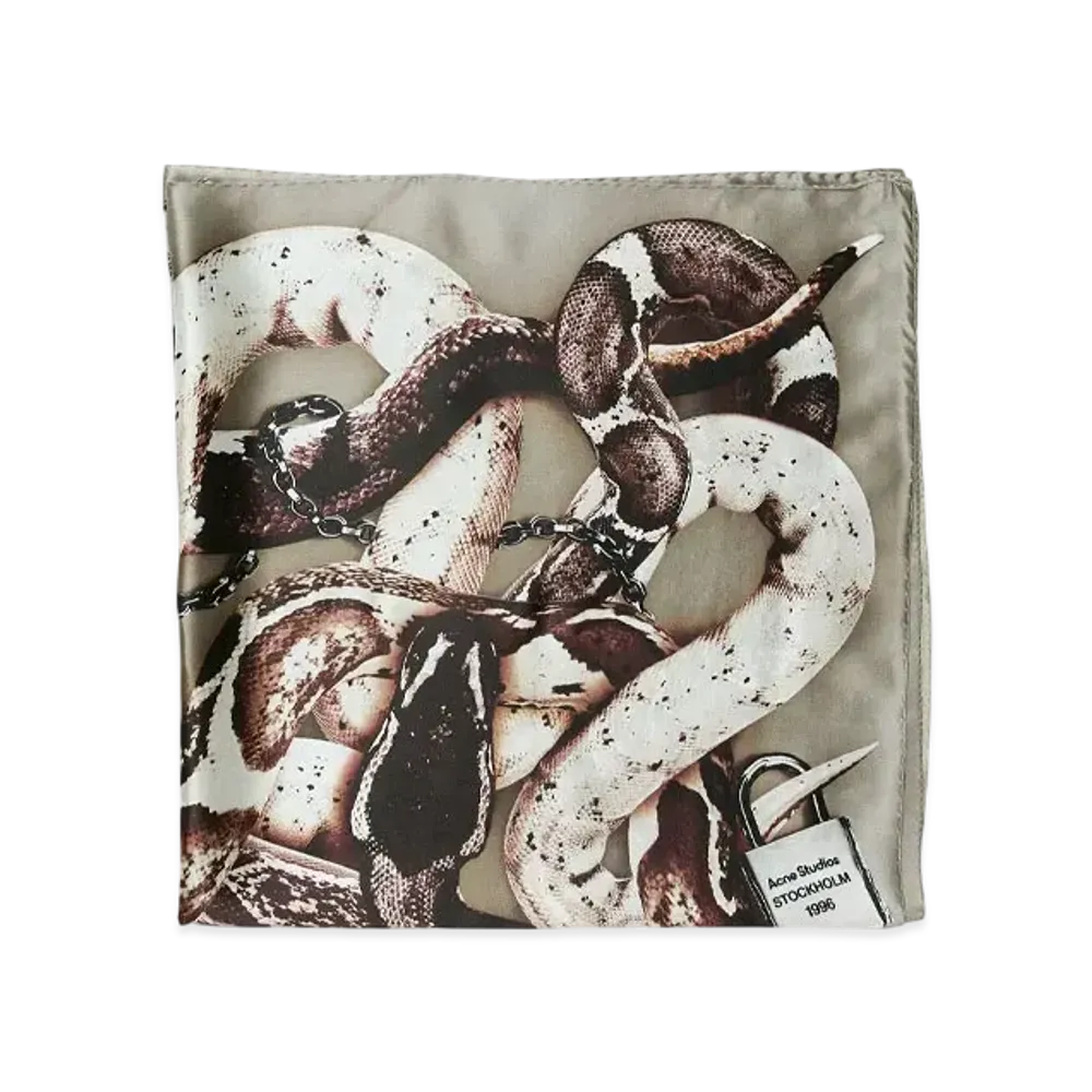 Acne Studios Printed Silk Scarf "Multi"
