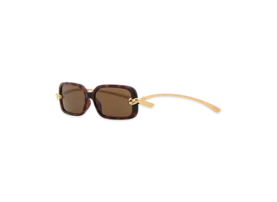 Bottega Veneta Women's Acetate Knot Sunglasses "Multicolor"