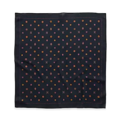 Gap x A.P.C. Printed Scarf "New Classic Navy"
