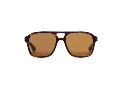 Saint Laurent Sunglasses "Brown"