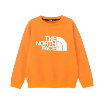The North Face Kids Colorize Sweat Crew "Russet Orange"