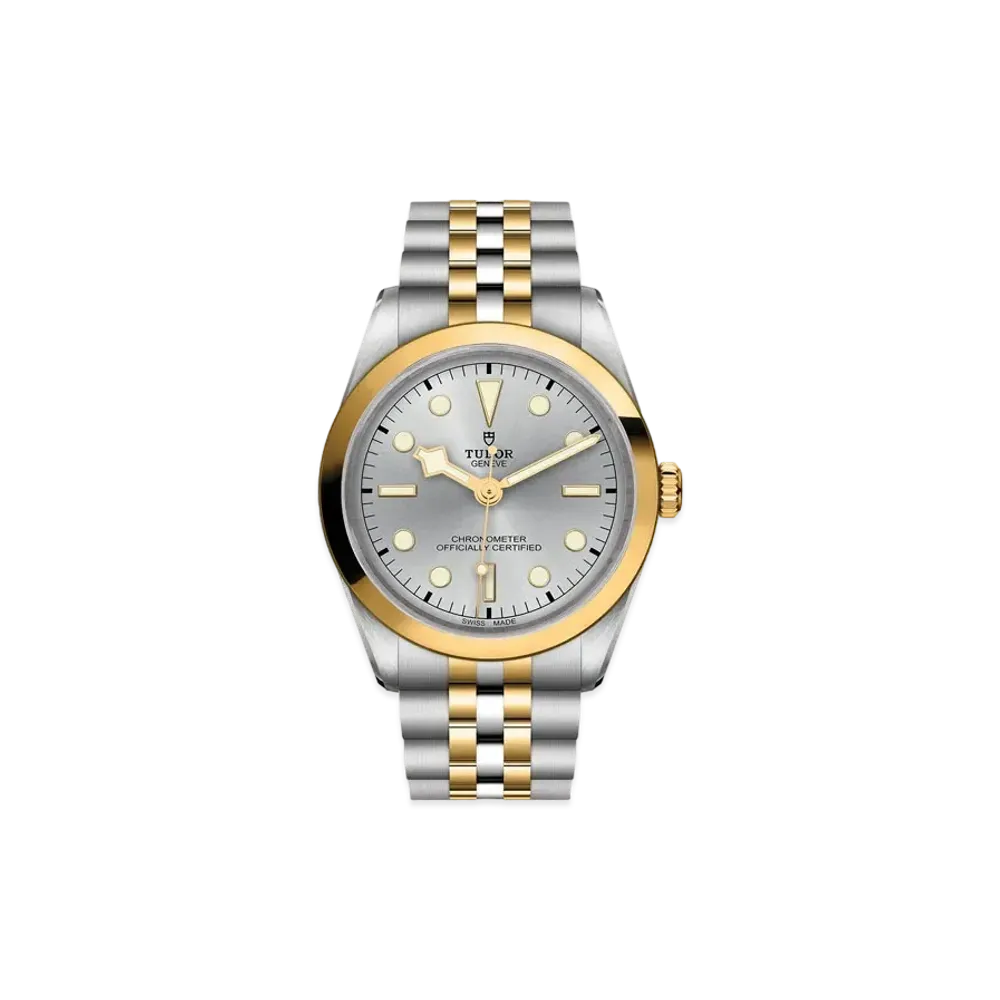 TUDOR BLACK BAY 36 S&G