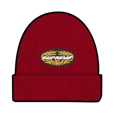 Supreme Terminal Beanie "Red"