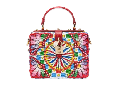 Dolce&Gabbana Dolce Box Bag Painted Latin "Multicolor"