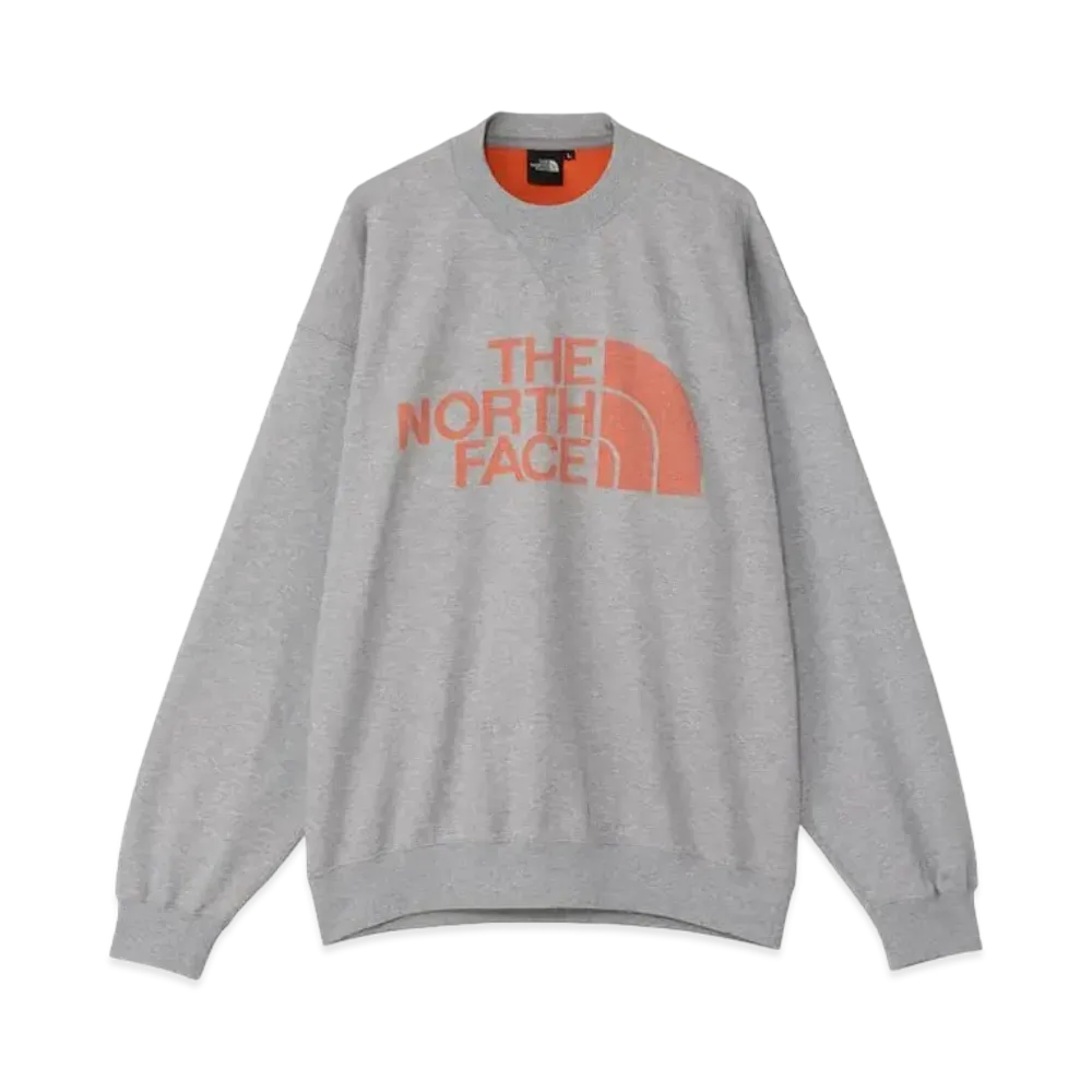 The North Face Jacquard Half Dome Crew "Mix Gray"