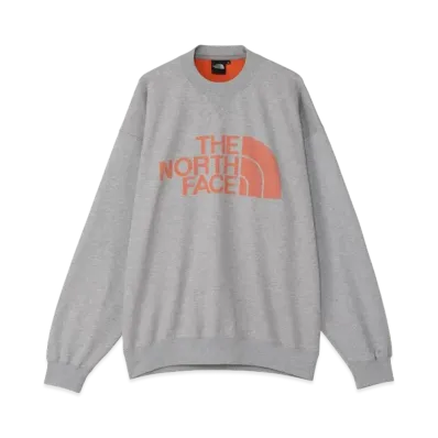 The North Face Jacquard Half Dome Crew "Mix Gray"