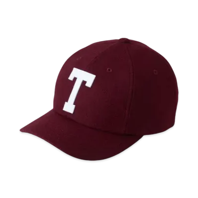 The North Face TNF Logo Flannel Cap "Alpine Plum"