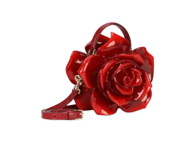Dolce&Gabbana Dolce Box Bag Paint Resin Rose "Red"