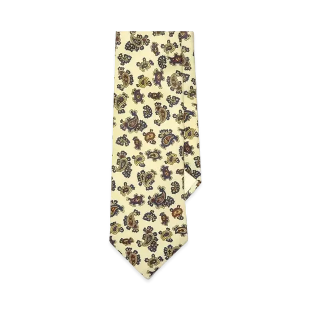 Noah Paisley Necktie