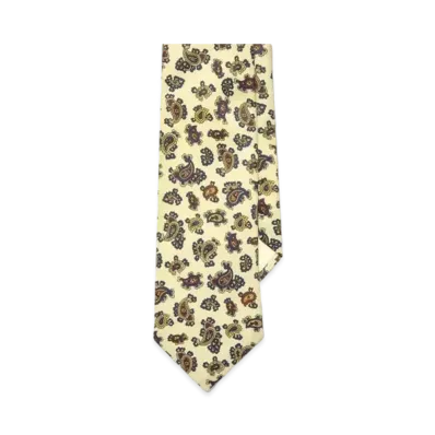 Noah Paisley Necktie