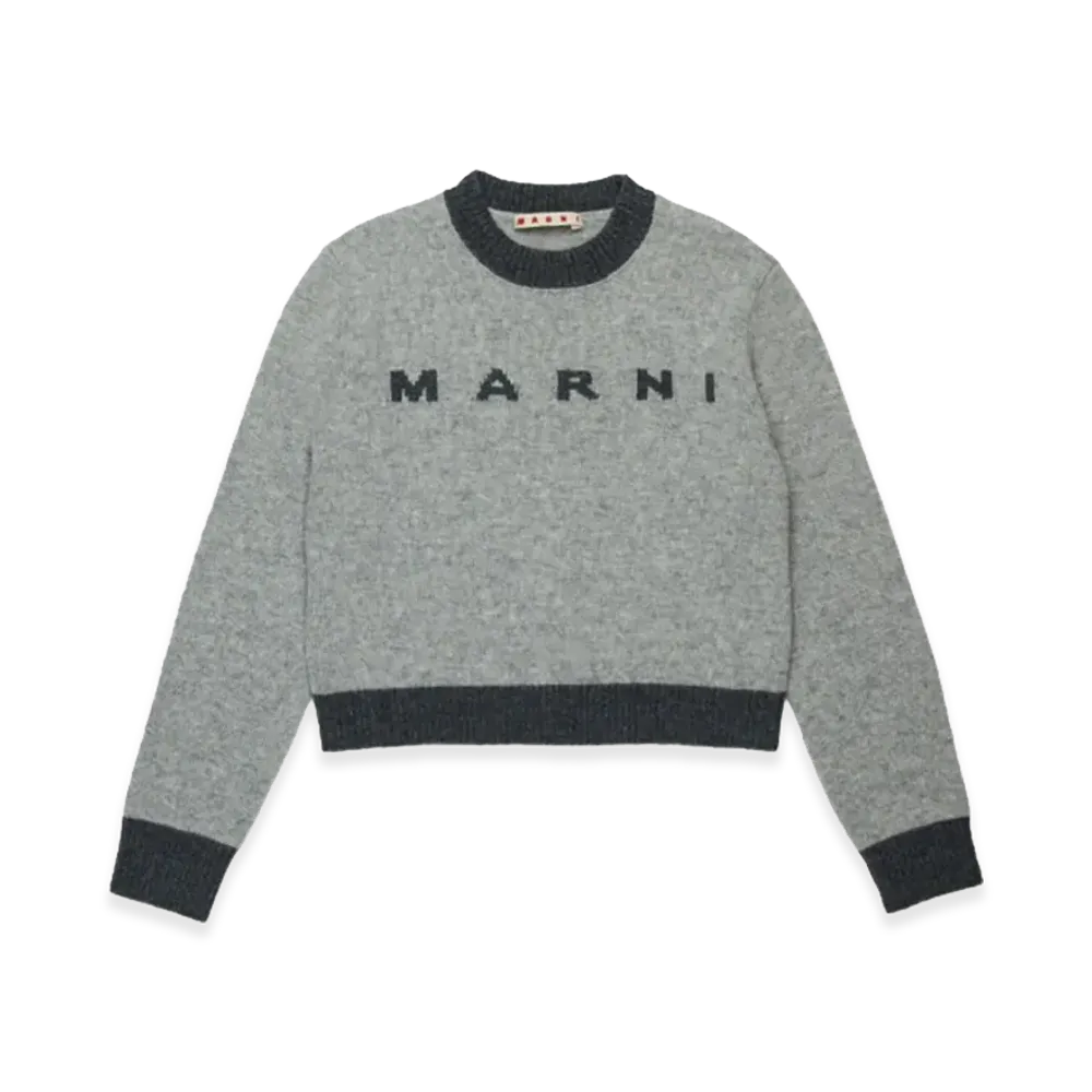 MARNI Kids Sweaters "Gray"
