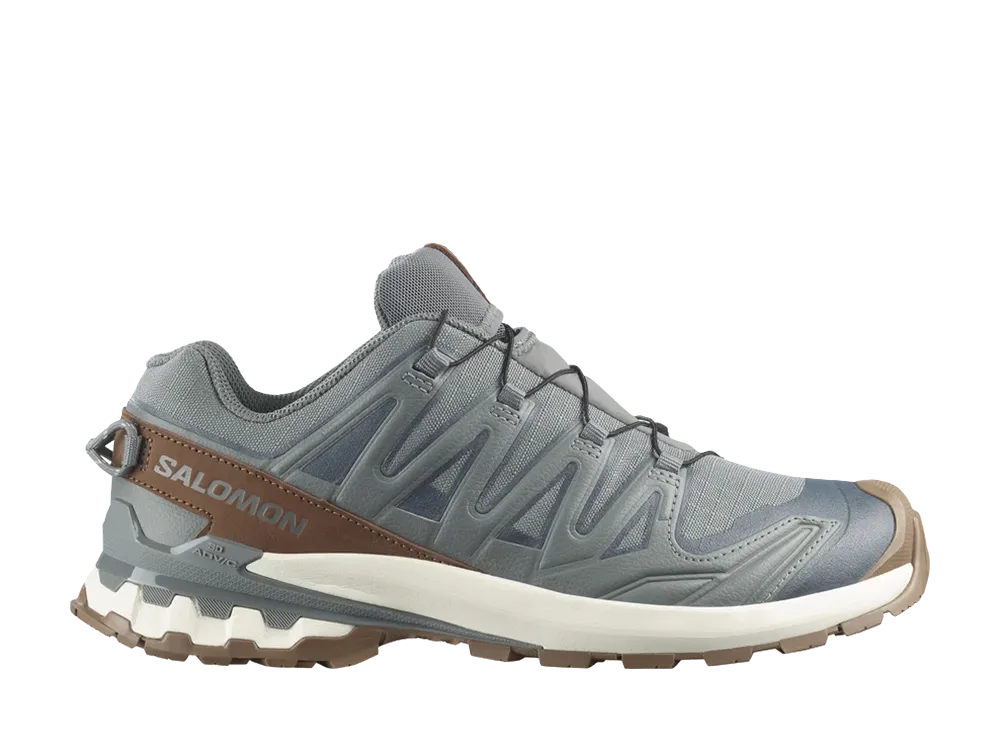 Salomon XA Pro 3D V9 GORE-TEX Lifelong "Sedona Sage/Coyote Brown"
