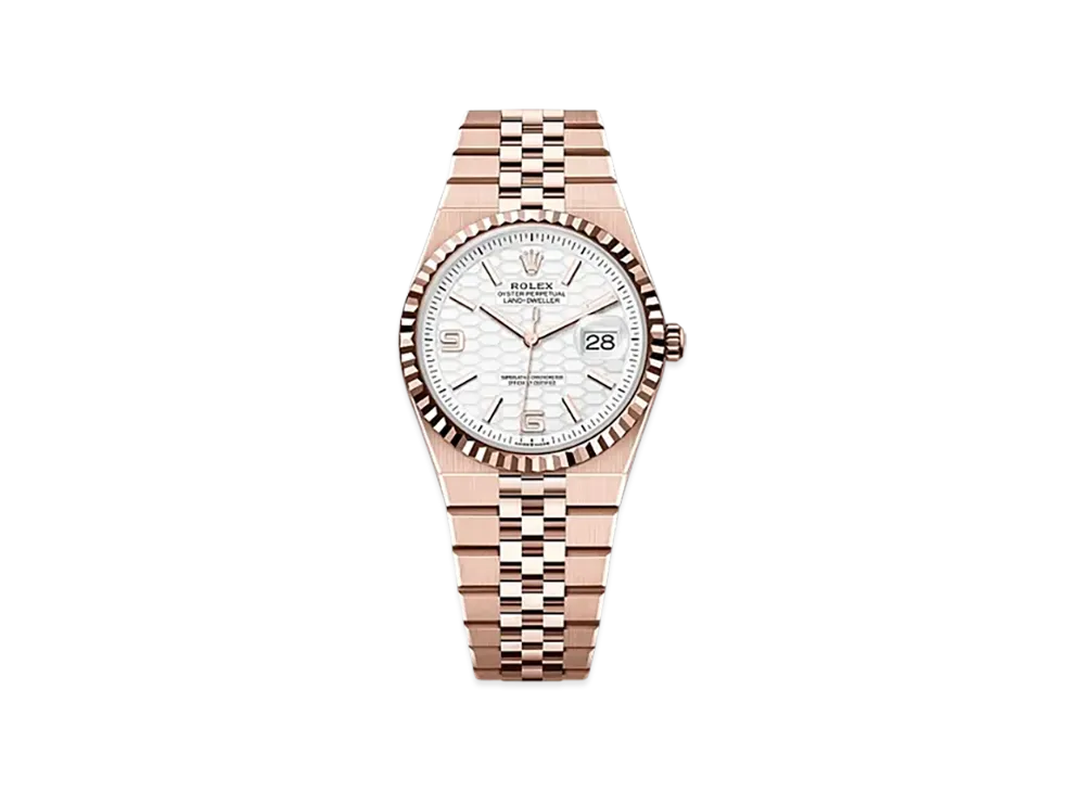ROLEX Land-Dweller 36mm Everose Gold 127235 "Intense White"