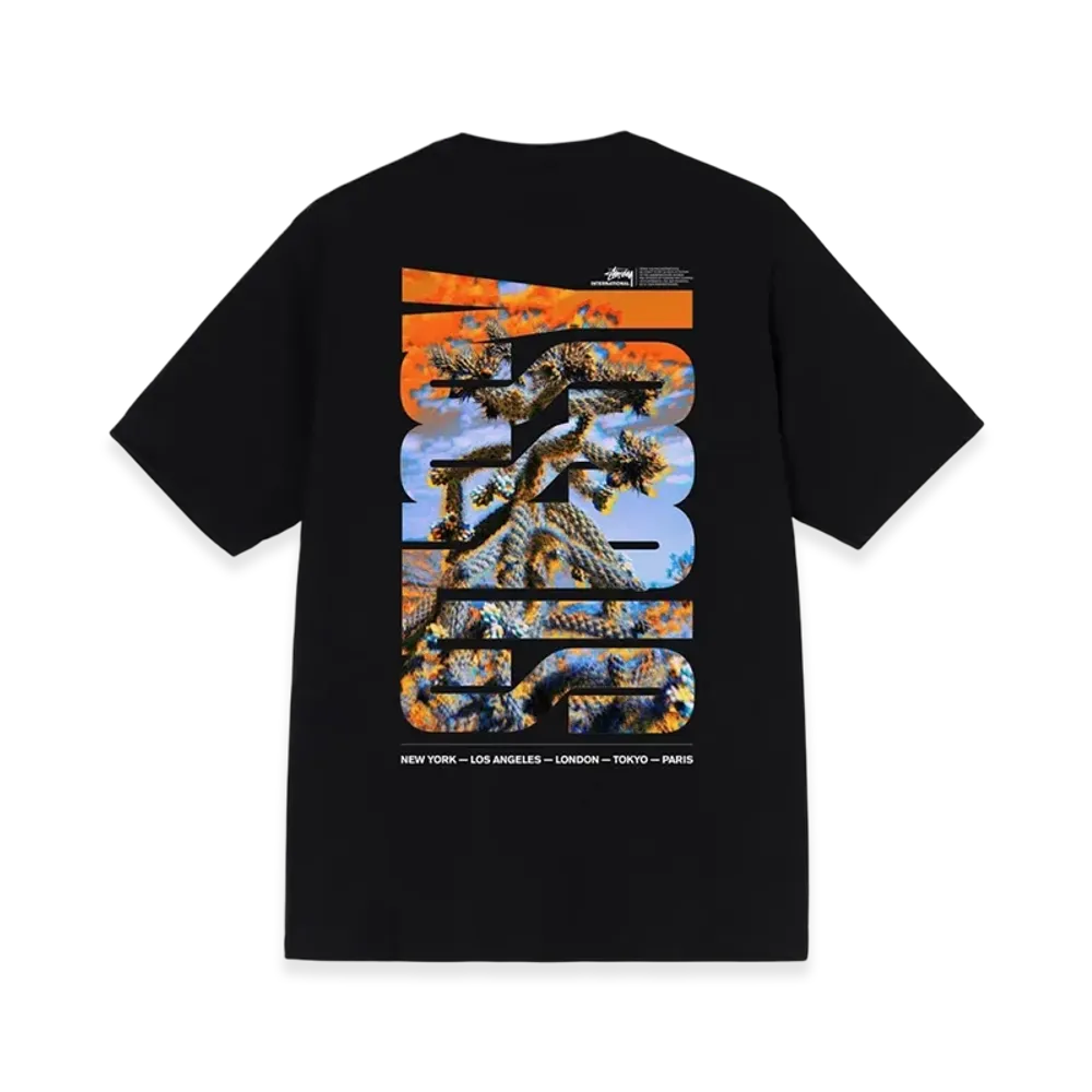 Stussy Desert Sky Tee "Black"