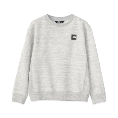The North Face Small Box Logo Crew (Kids) "Mix Gray"