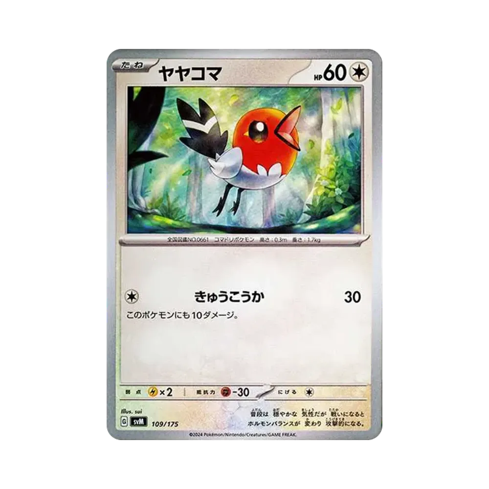小箭雀