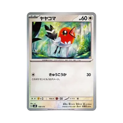 小箭雀