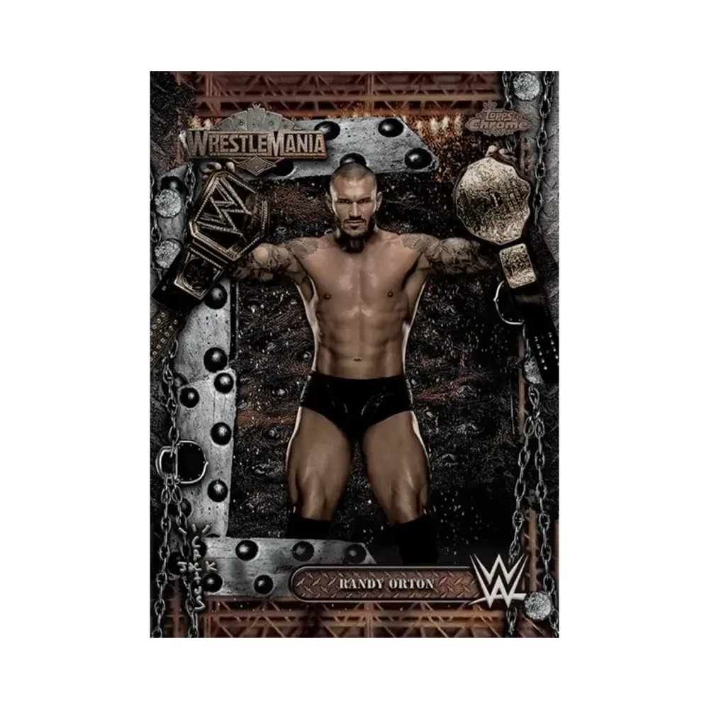 ランディオートン (トップスクローム WWE カクタスジャック X レッスルマニア)