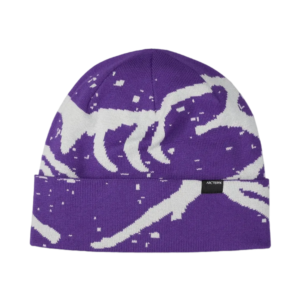 ARC'TERYX Lightweight Grotto Toque "Iola/Solitude" X000009275