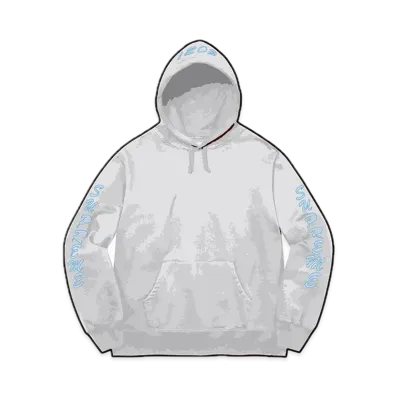 Supreme Guardian Hooded Sweatshirt "Ash Grey"